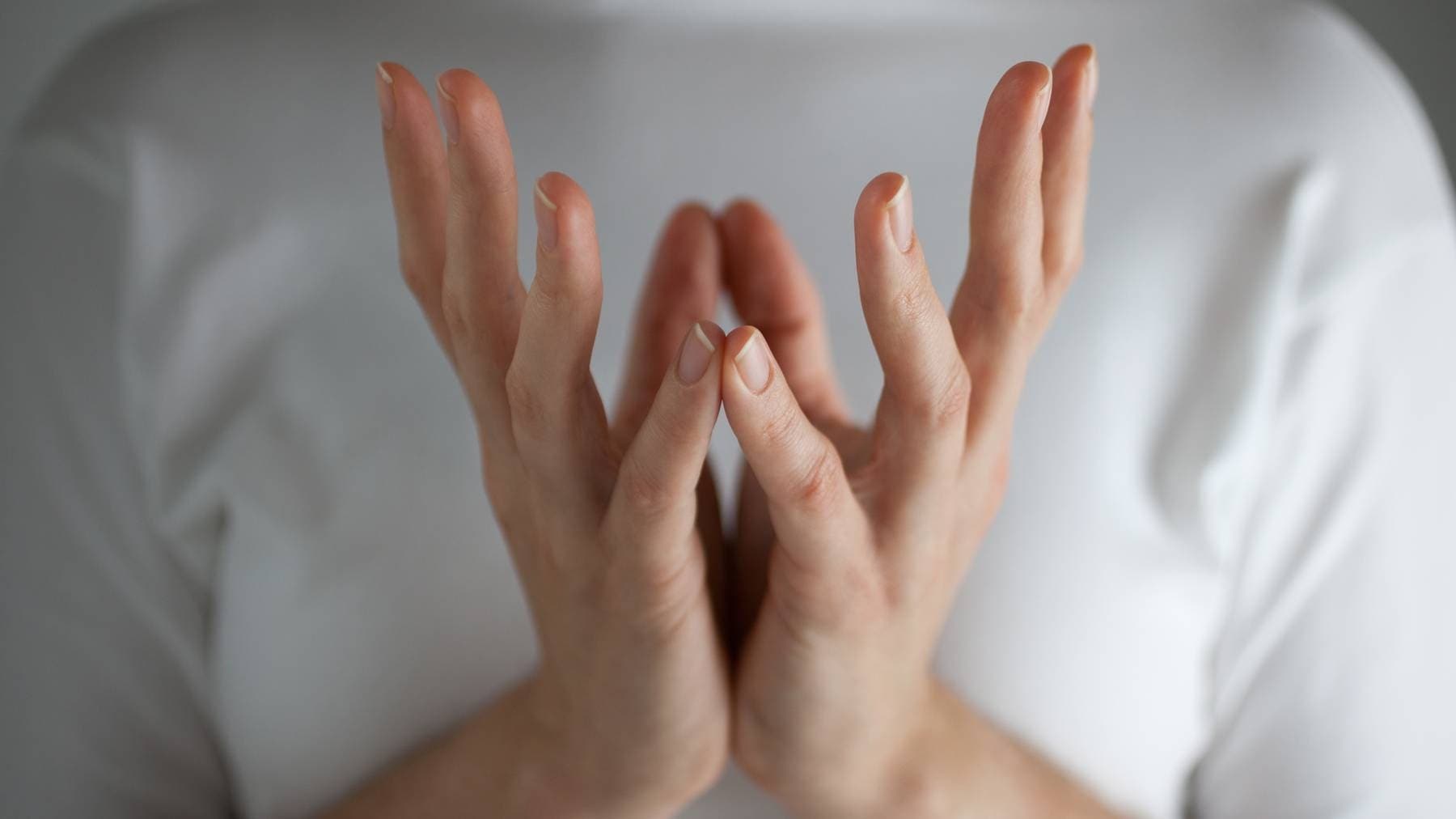 The Essence of the Yoga Sutra Digital Himalayan Institute Online